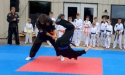 Demo at the Arts Walk